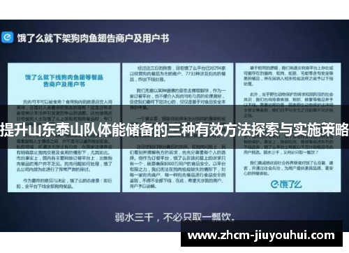 提升山东泰山队体能储备的三种有效方法探索与实施策略